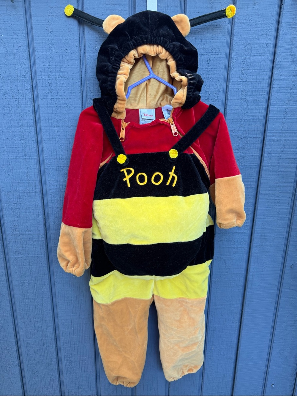 Disney Winnie the Pooh Bee Costume - Black, Yellow, Red size 18/24 months